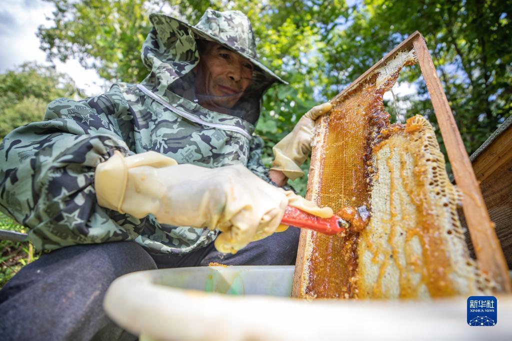 巴黎人直营电玩